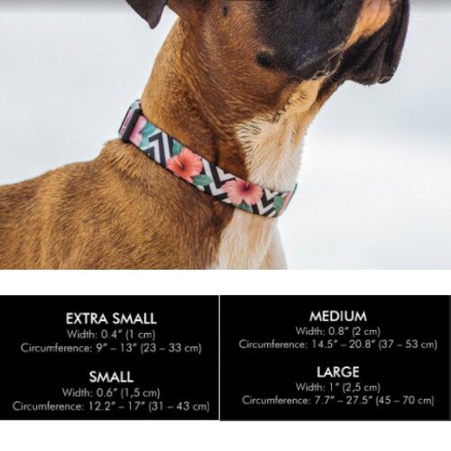 Zeedog Collar Para Perros Mahalo Talla Extra Small 